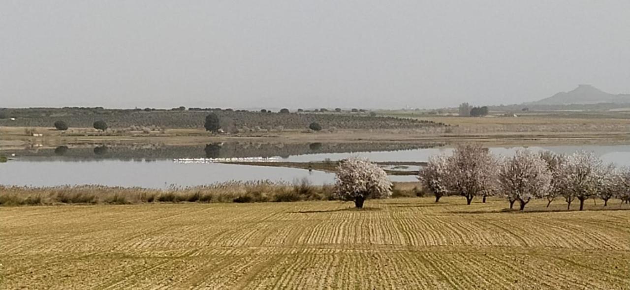 Casa Rural La Galana Albacete Chinchilla de Monte Aragón Exteriér fotografie