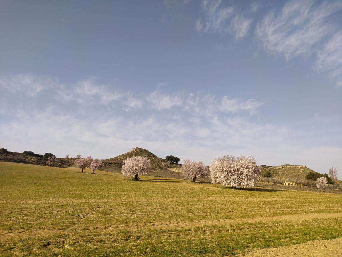Casa Rural La Galana Albacete Chinchilla de Monte Aragón Exteriér fotografie